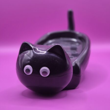 Jabonera gato