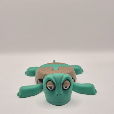 Tortuga aplastada portavasos